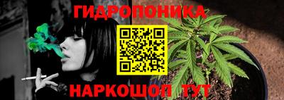 тгк Пугачёв